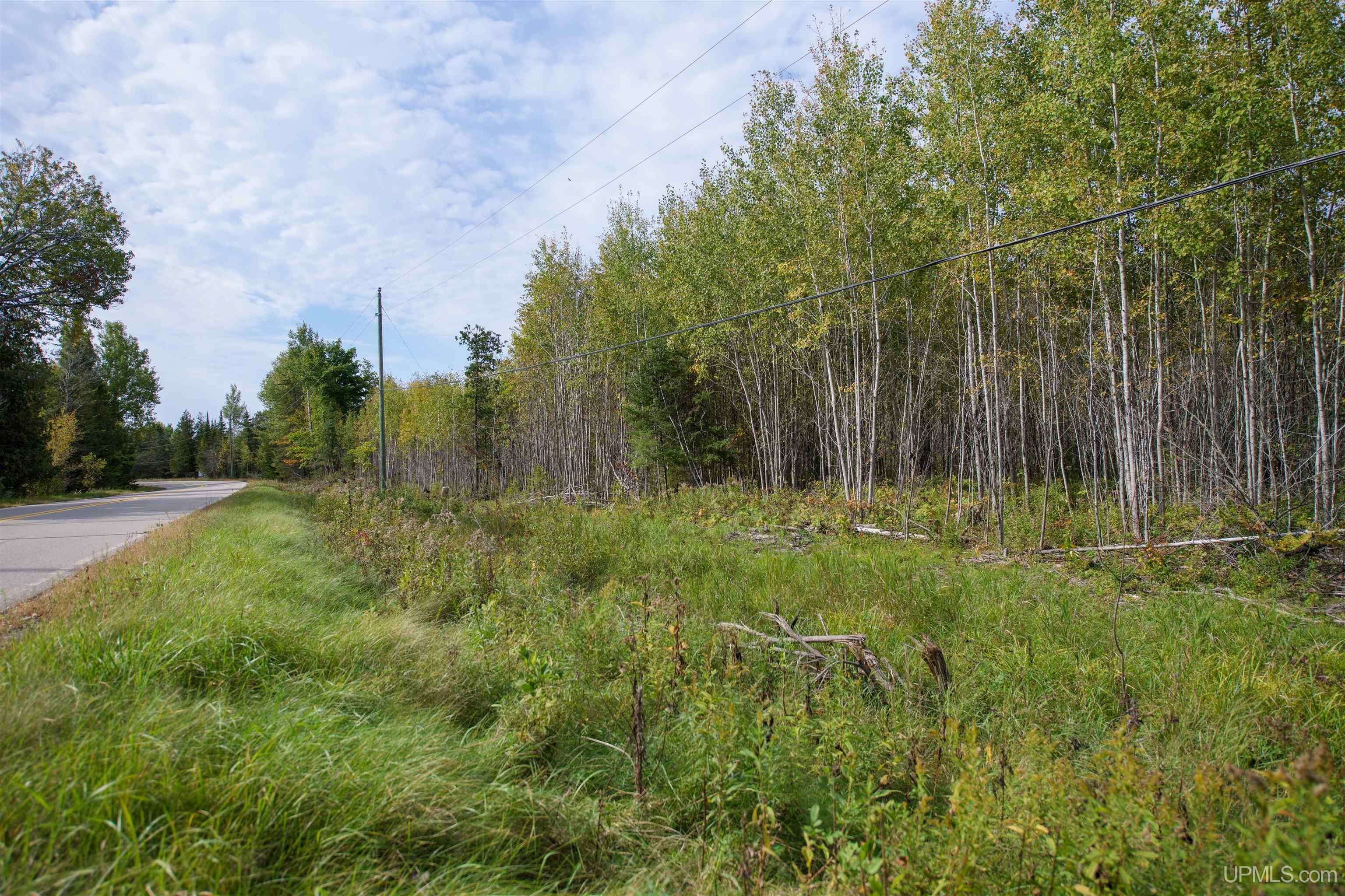 Property Photo:  Tbd Lot 3 Ll Road  MI 49878 