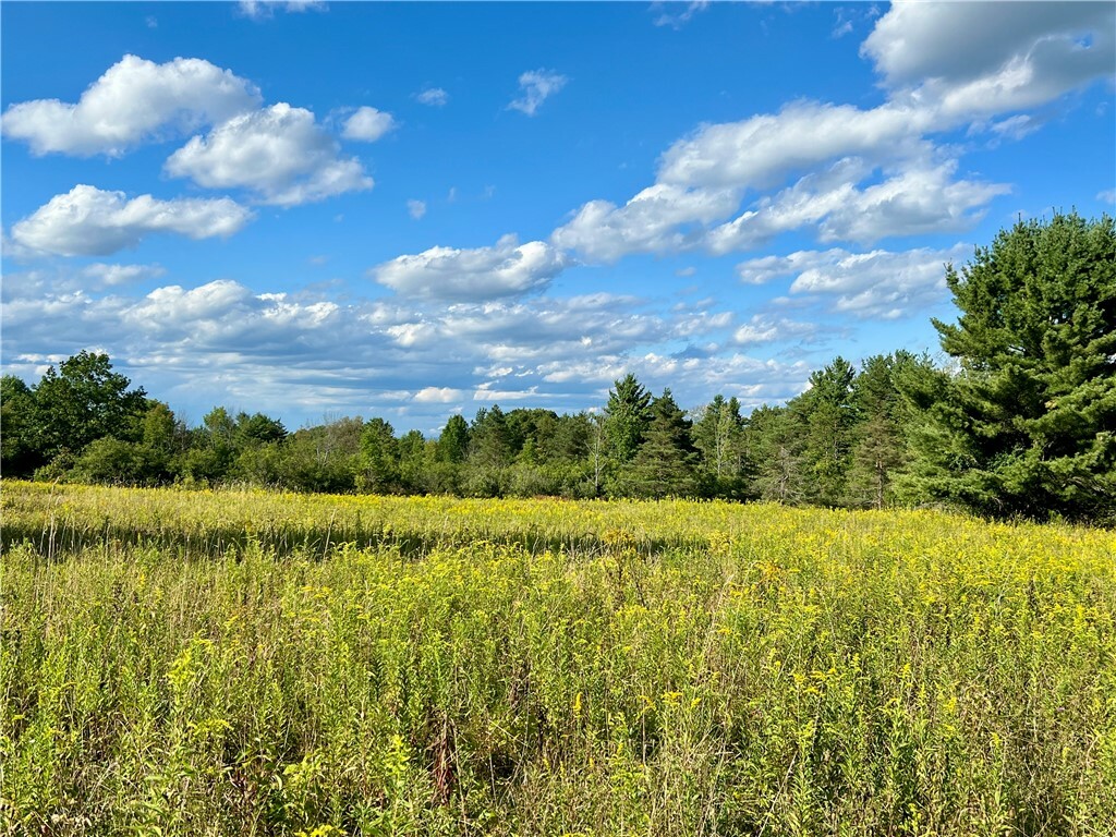 Property Photo:  0 Nelson Road  NY 14850 