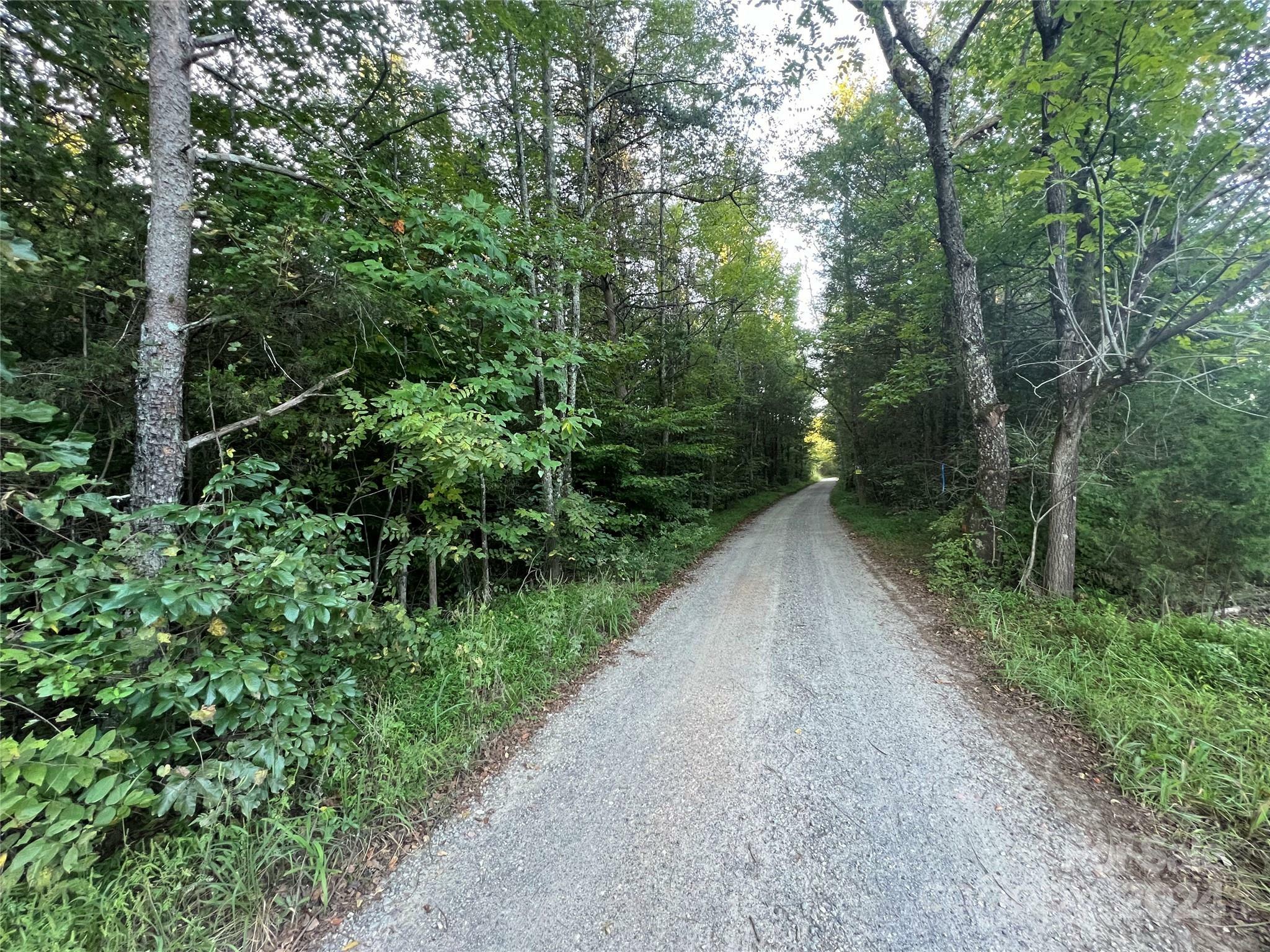 Property Photo:  #6 Gladys Hovis Estate Catalina Lane  NC 28092 