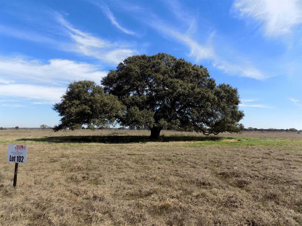 Property Photo:  0 Pintail Lane  TX 78934 