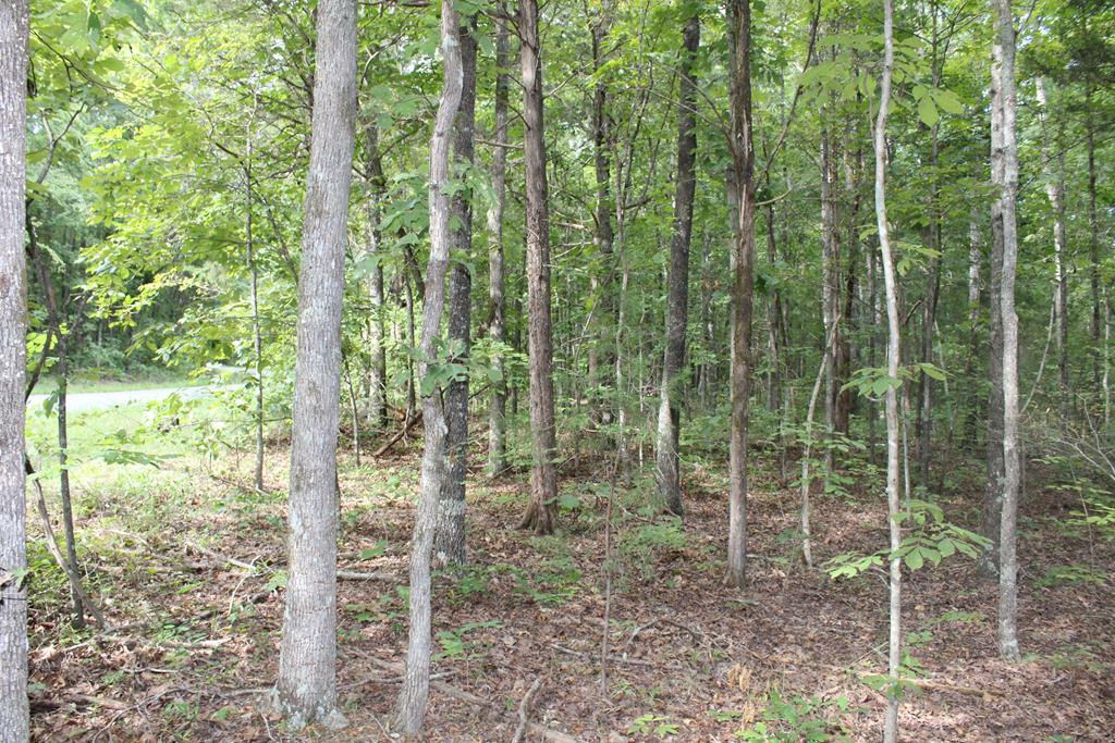 Property Photo:  Dryburg Rd  VA 24589 