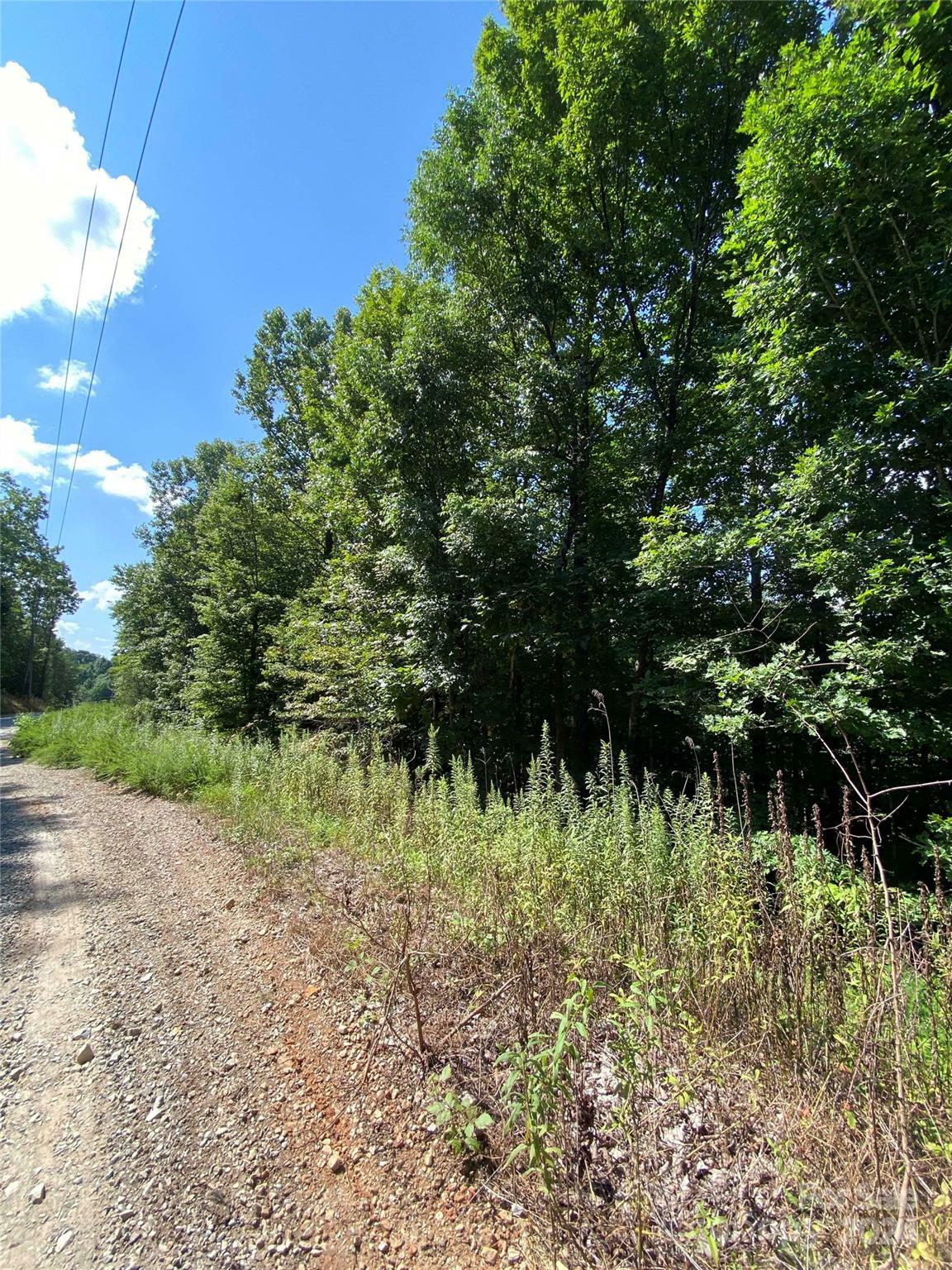 Property Photo:  00 Woodchuck Lane  NC 28752 