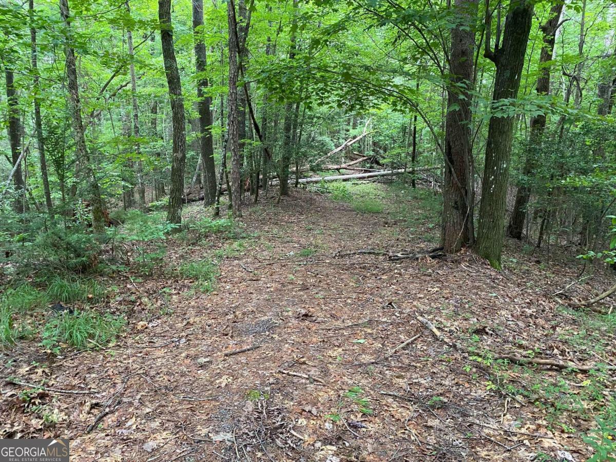 Property Photo:  Tract C Harpers Creek Road  GA 30540 