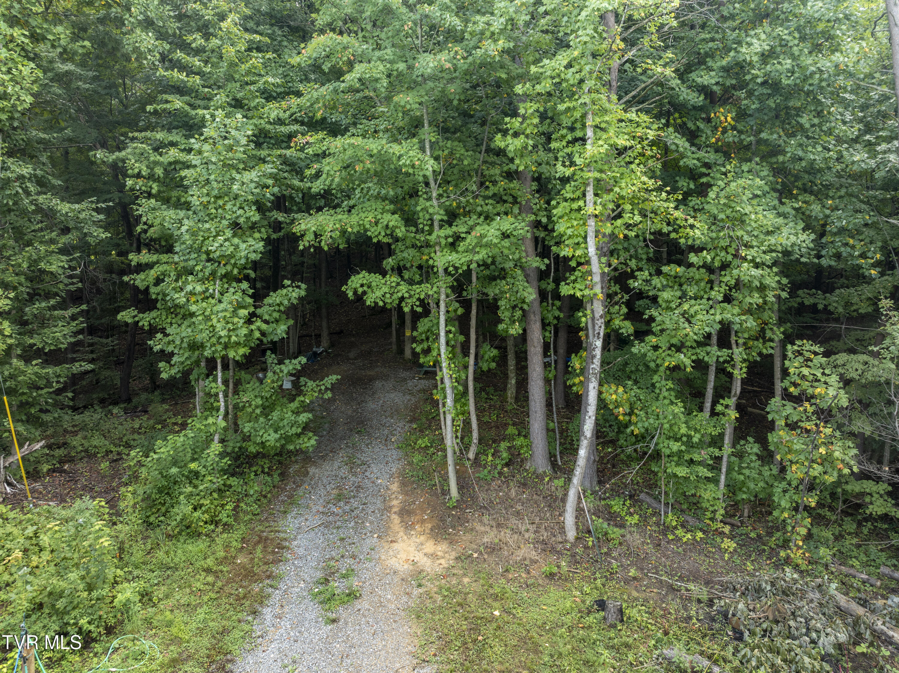 Property Photo:  143 Cedar Street  TN 37601 