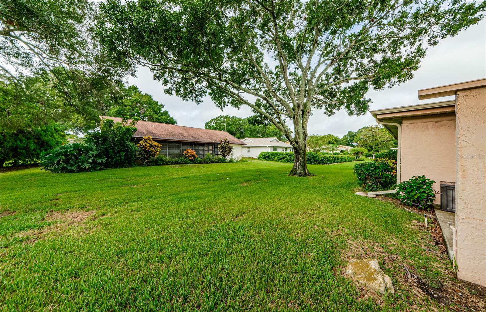 Property Photo:  2859 Thistle Court N  FL 34684 