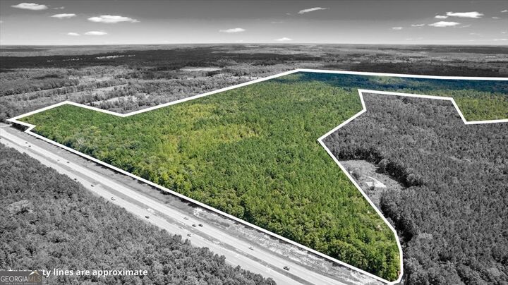 262.44 Ac Leroy Coffer Highway  Fleming GA 31309 photo