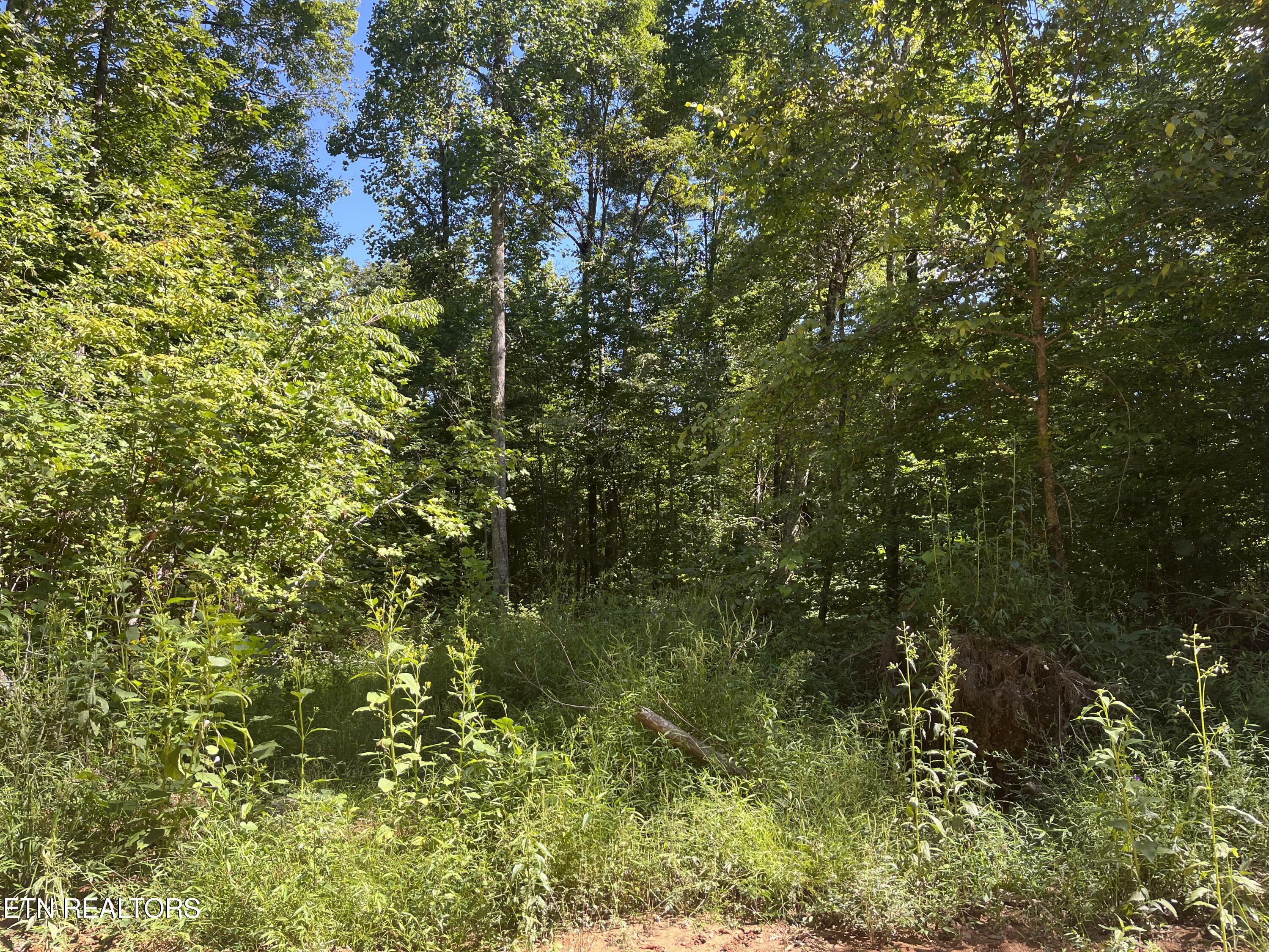 Property Photo:  Little Sycamore Rd  TN 37879 