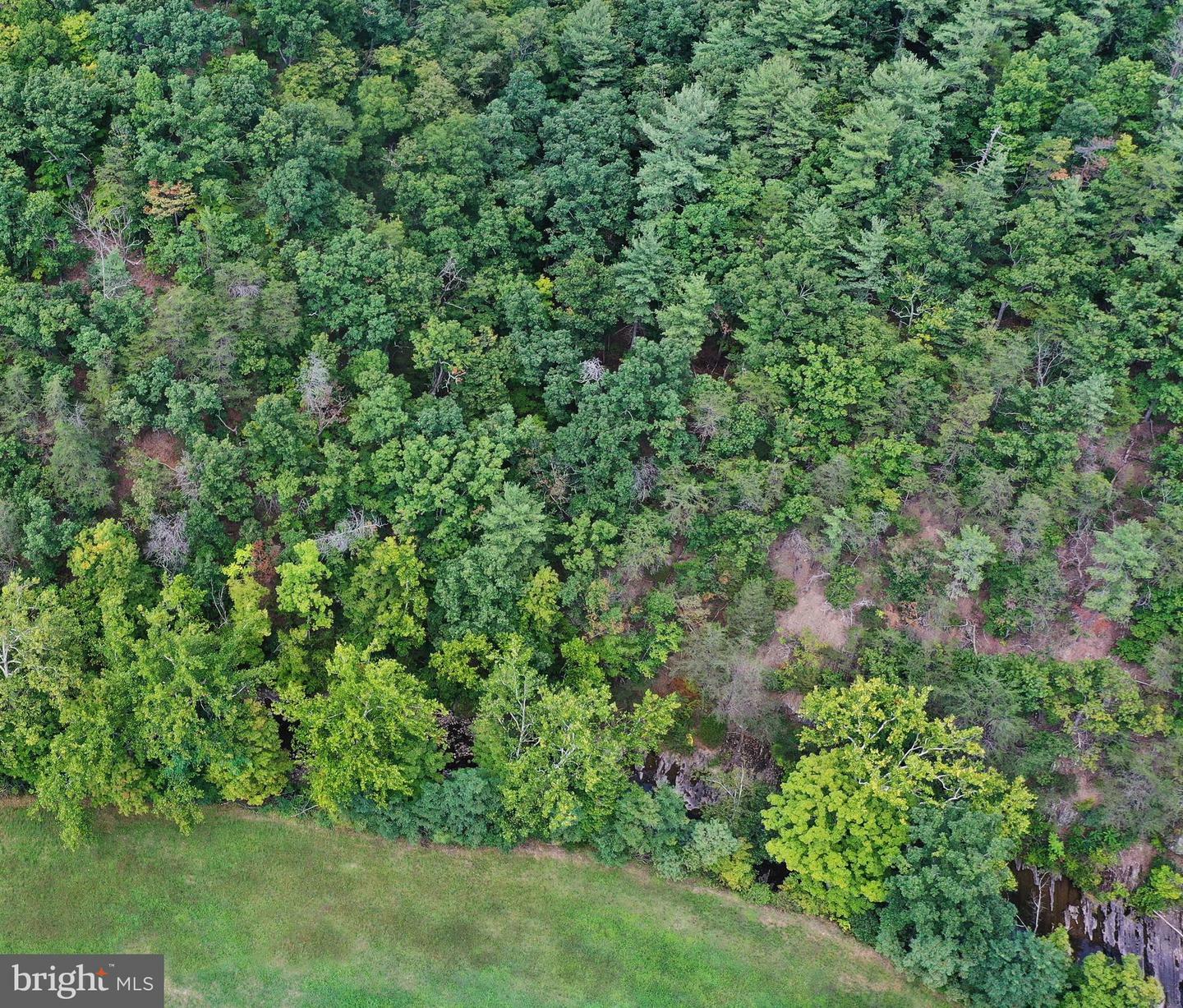 Property Photo:  Lot 17 Radnor Drive  WV 26755 