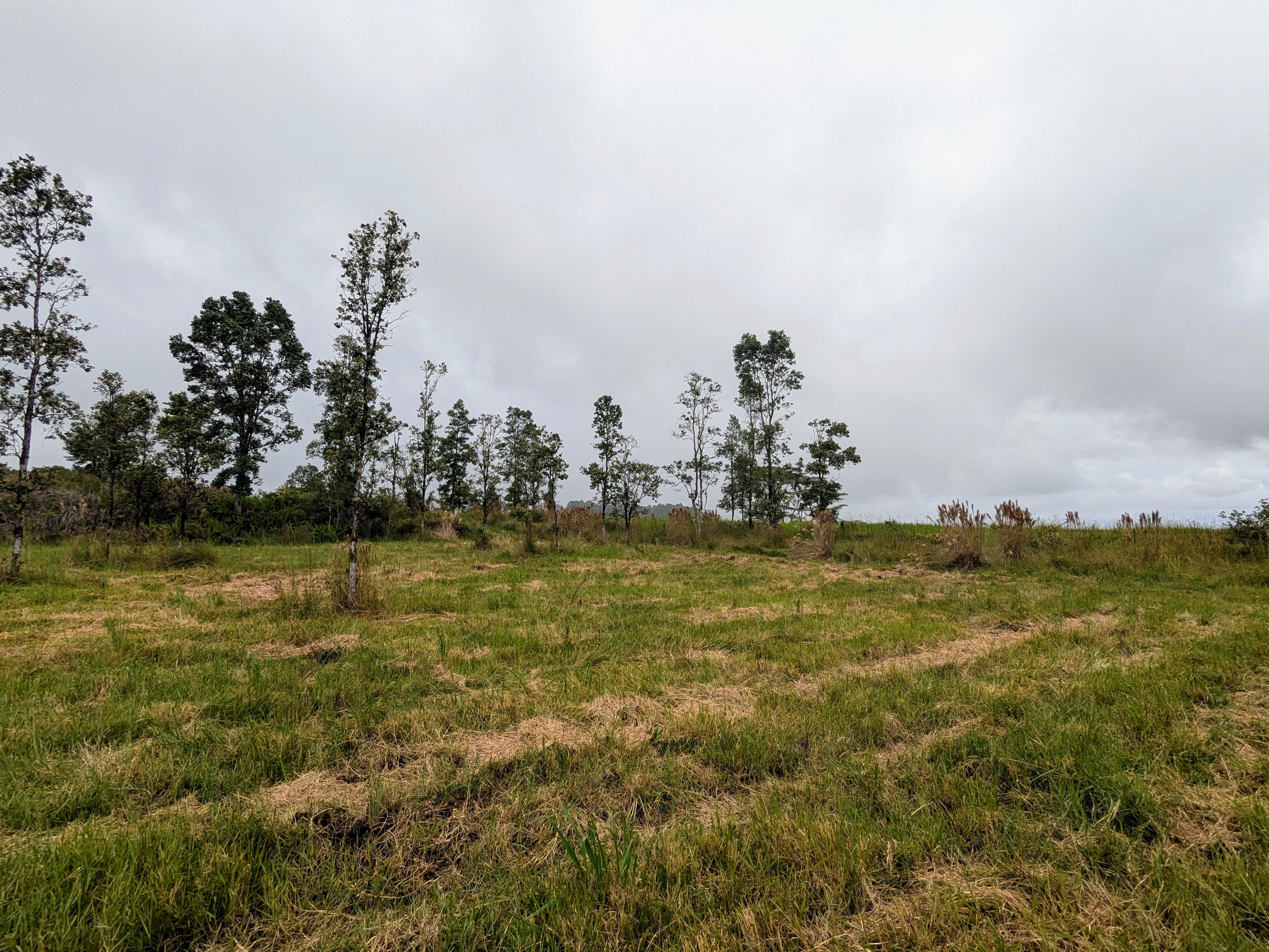 Property Photo:  17-4794 Ike Onipaa Rd  HI 96771 