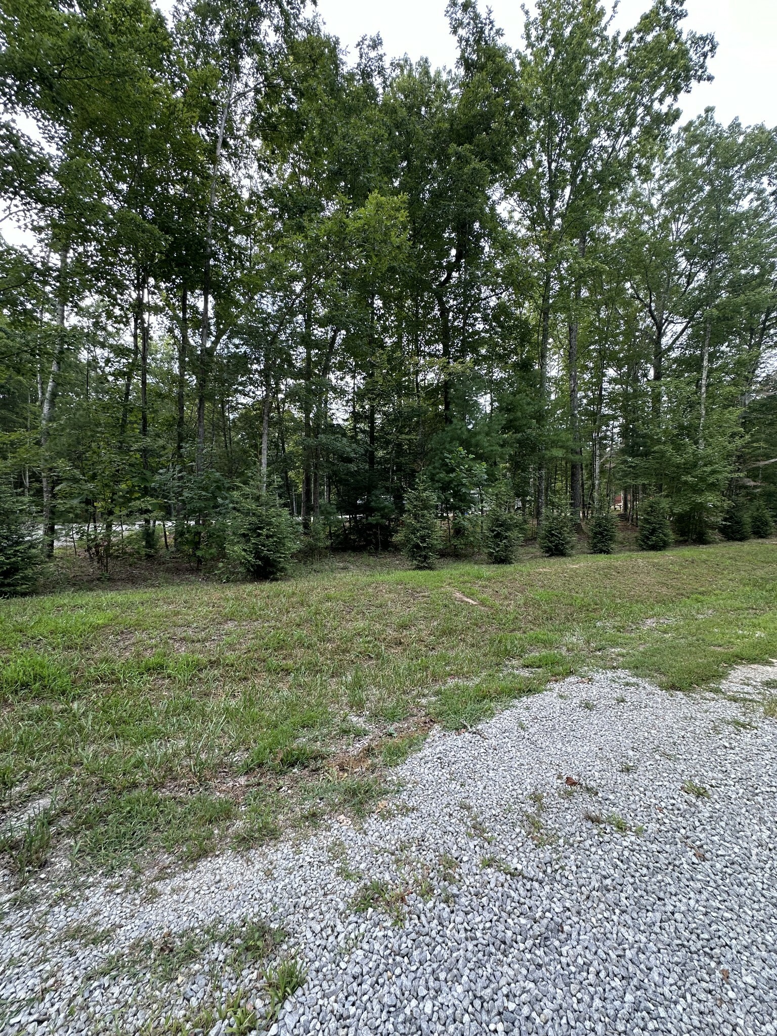 Property Photo:  619 Cowboy Way  TN 38556 