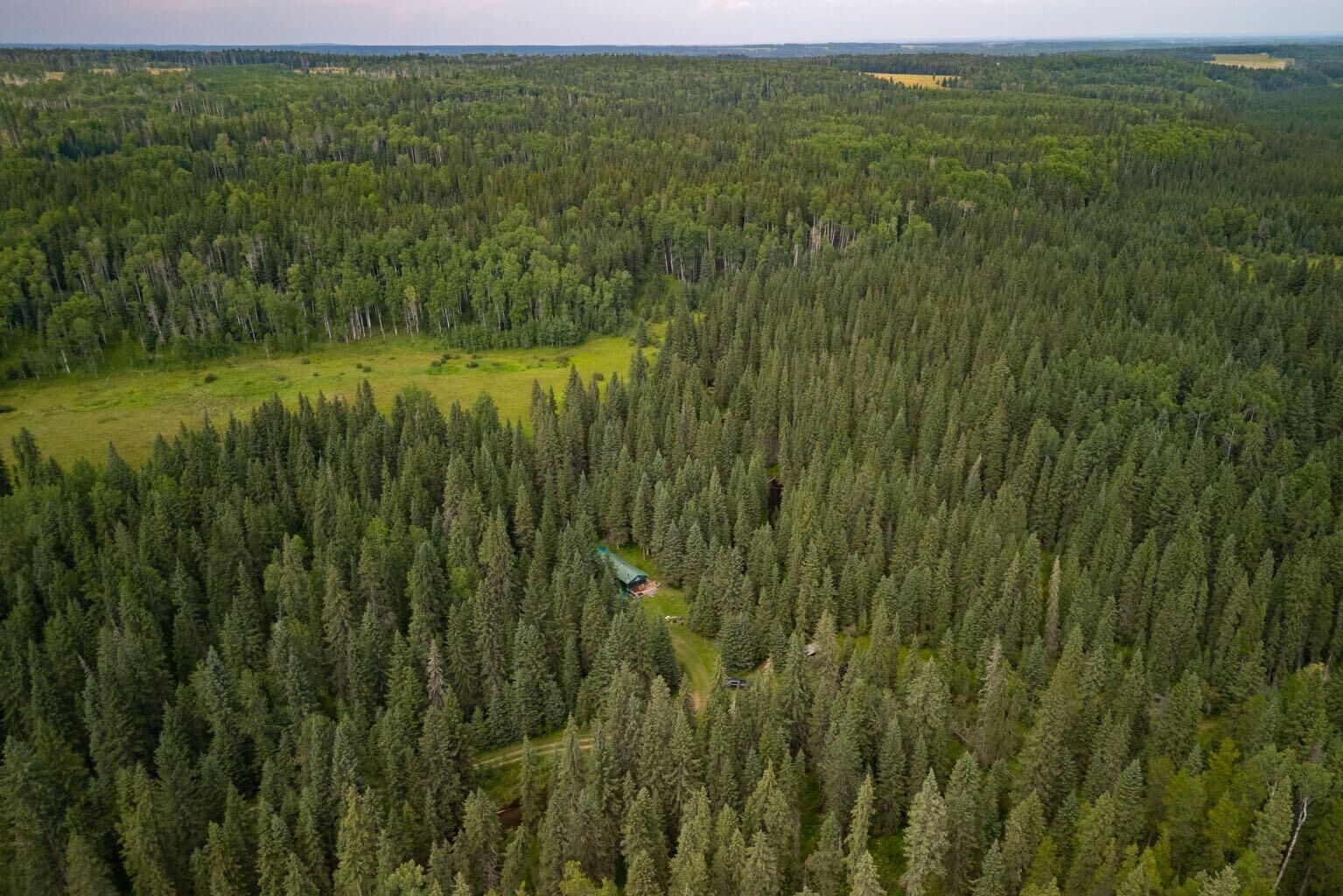 Property Photo: Limpkin Flats Twp Rd 355 AB T0M 0N0