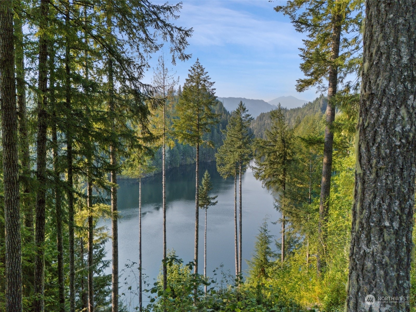 Property Photo:  20 N Kokanee Park Court  WA 98548 