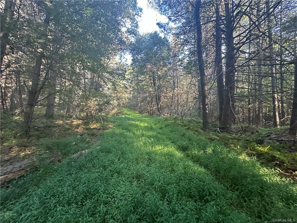 Property Photo:  Lot 15-6 Ward Brower Jr Drive  NY 12719 