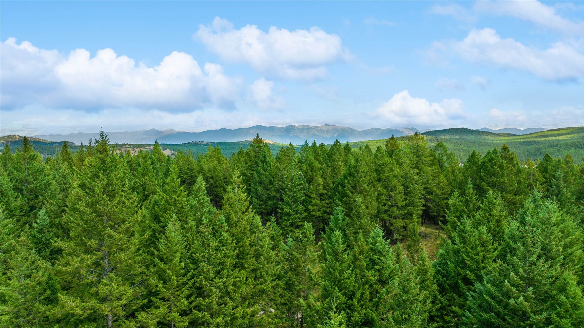 Property Photo: 522 Moonshine Mountain Trail MT 59930