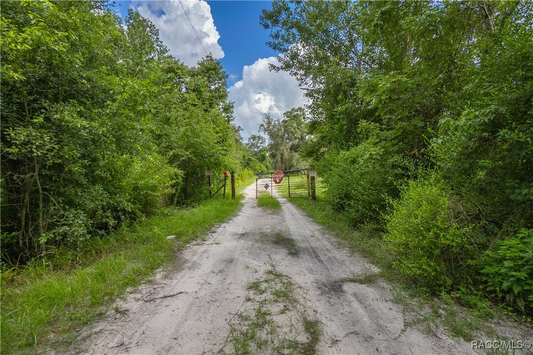 Property Photo:  6565 N Megan Point  FL 34442 