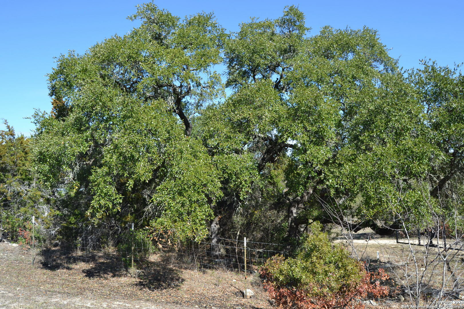 Property Photo:  355 County Road 266  TX 78056 