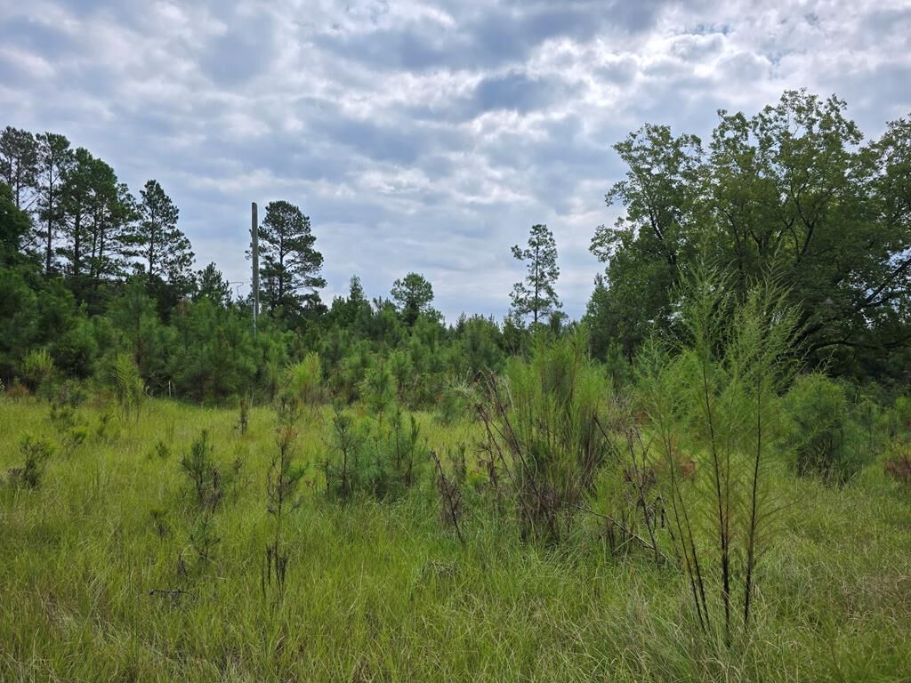 Property Photo: Central School Rd SC 29128