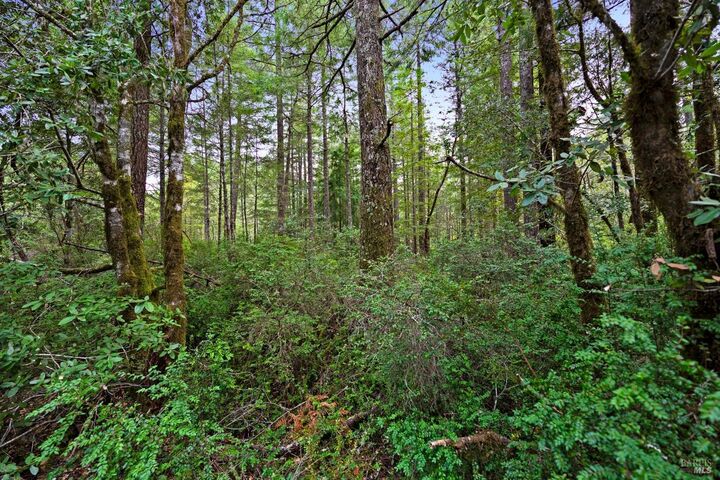 Property Photo:  33538 Iversen Road  CA 95445 