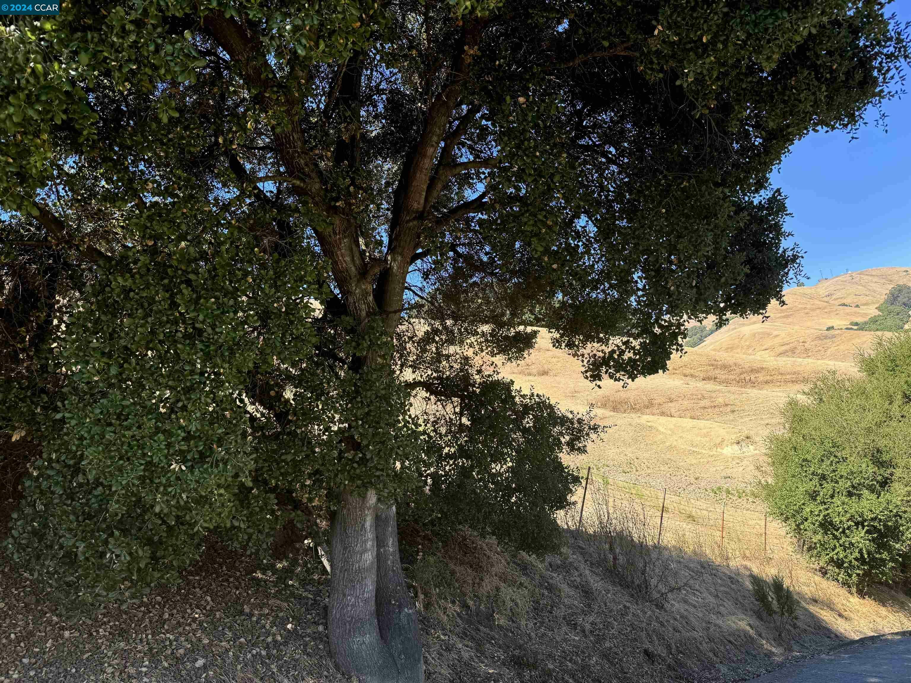 Property Photo:  Eden Canyon Rd  CA 94546 