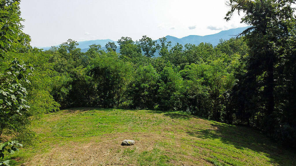 Property Photo:  1468 Laurel Road  TN 37738 