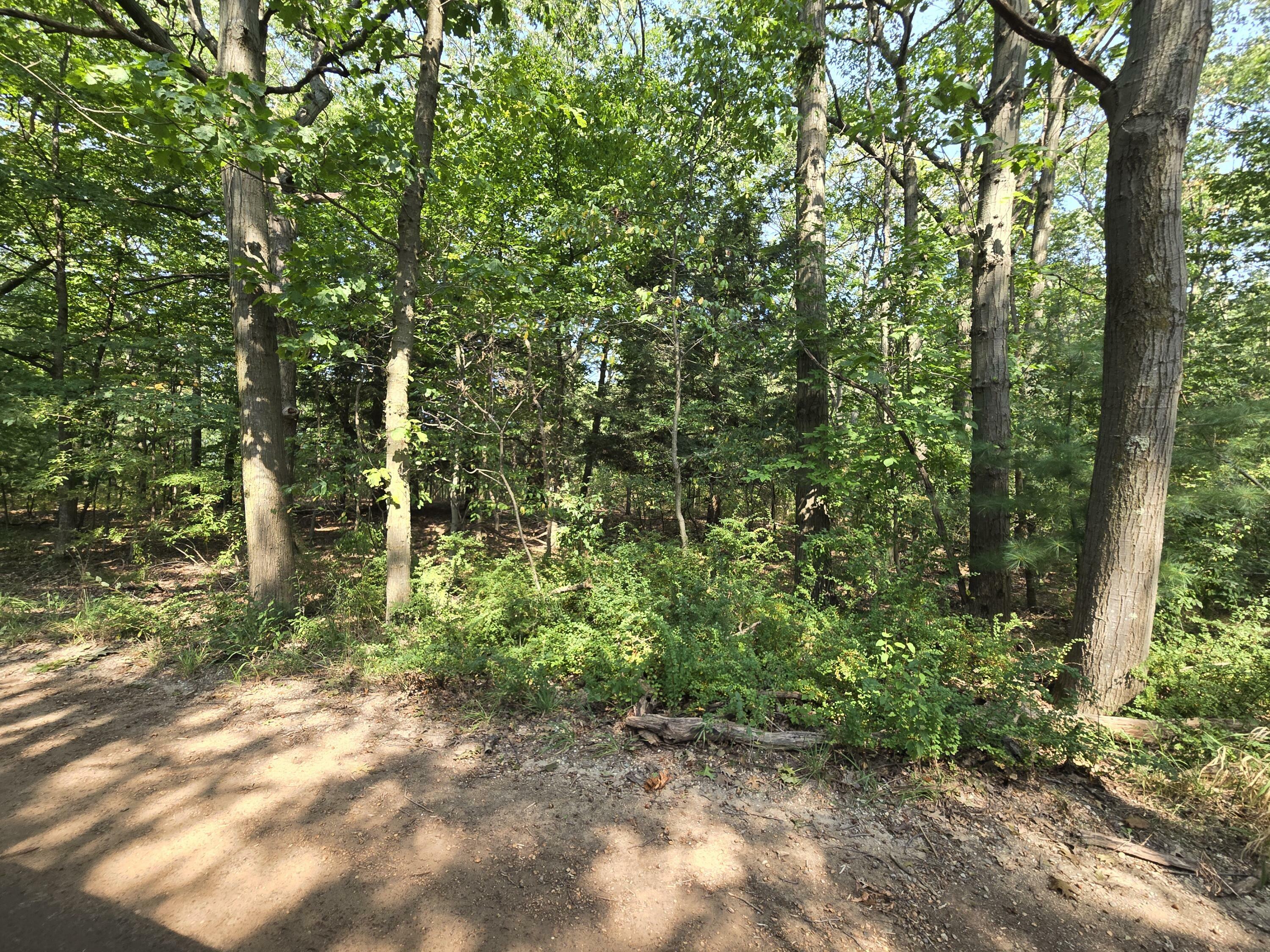 Property Photo:  1.33 Acres W Harrison Road  MI 49436 