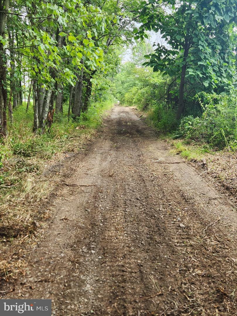 Property Photo:  Old Durham Rd  PA 18947 