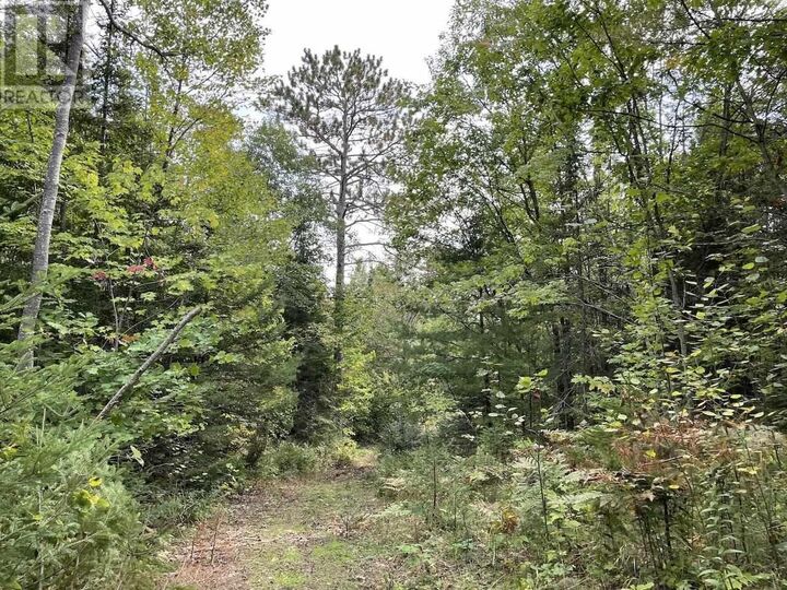 4267 Highway 17 — photo 1