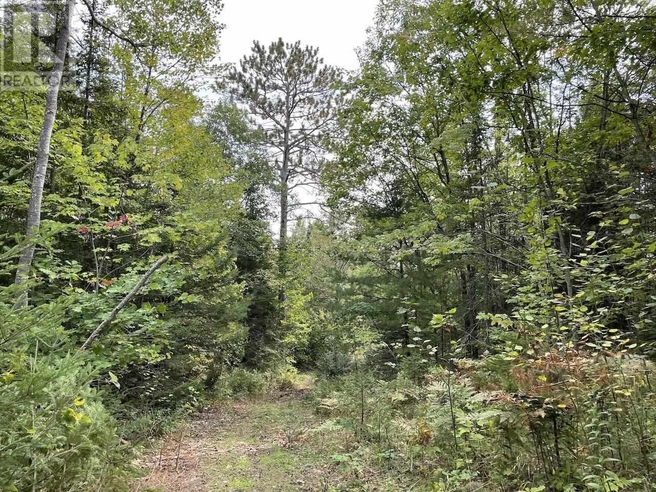 Property Photo:  4267 Highway 17  ON P0R 1K0 