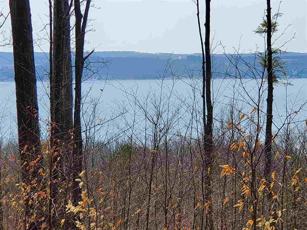 Property Photo:  Lot 4 Ruby Lane  MI 49712 