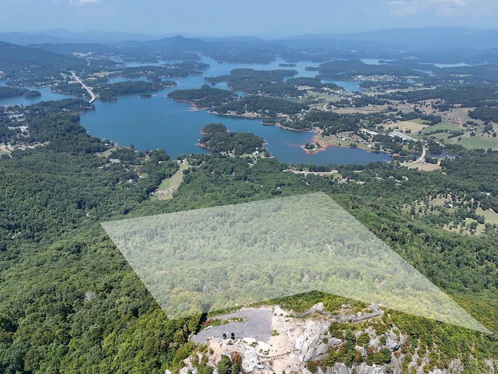 Property Photo:  145 Ac. Bell Mountain  GA 30546 