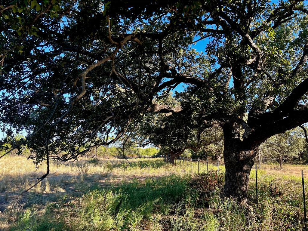 Property Photo:  1207 N West Street  TX 76823 