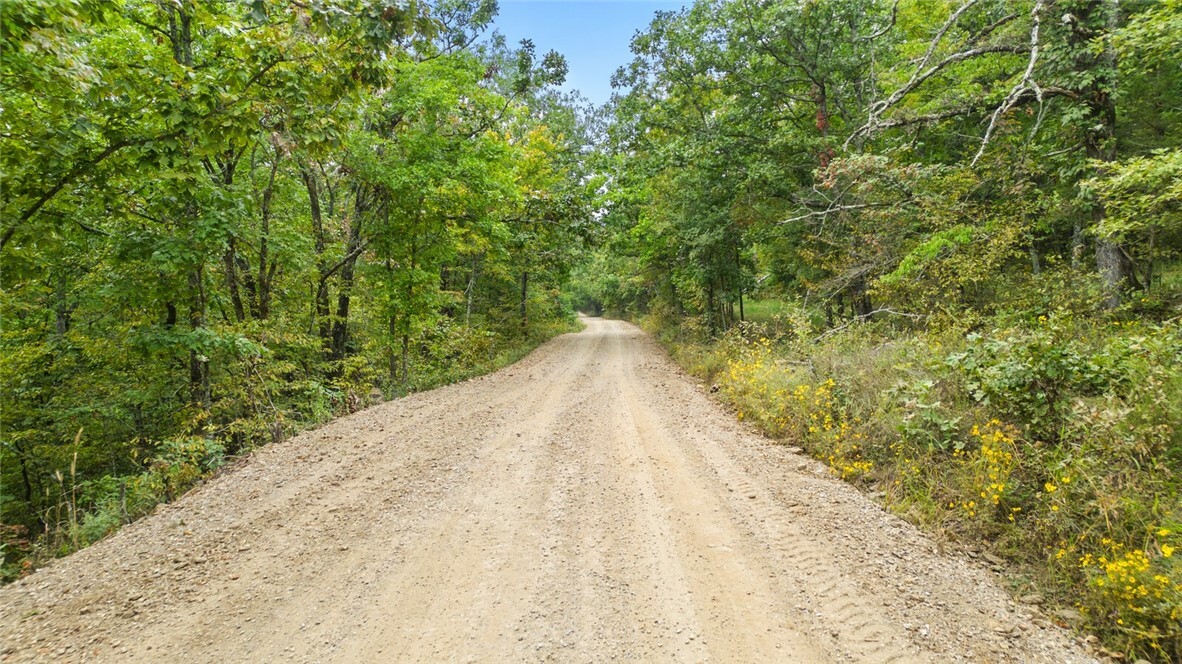 Property Photo:  Mast Rd Hazel Valley  AR 72701 