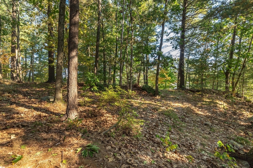 Property Photo: 0 Currier MA 01944