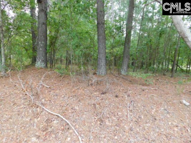 5260 Cotton Acres  Sumter SC 29153 photo