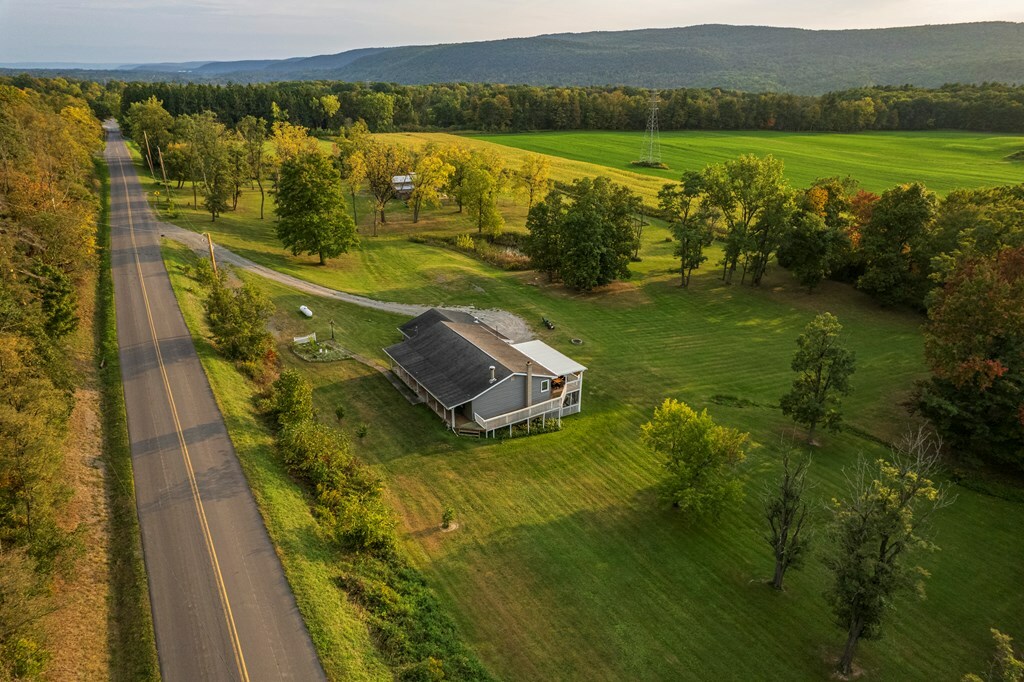 Property Photo:  1425 Fitzpatrick Hill Road  NY 14865 