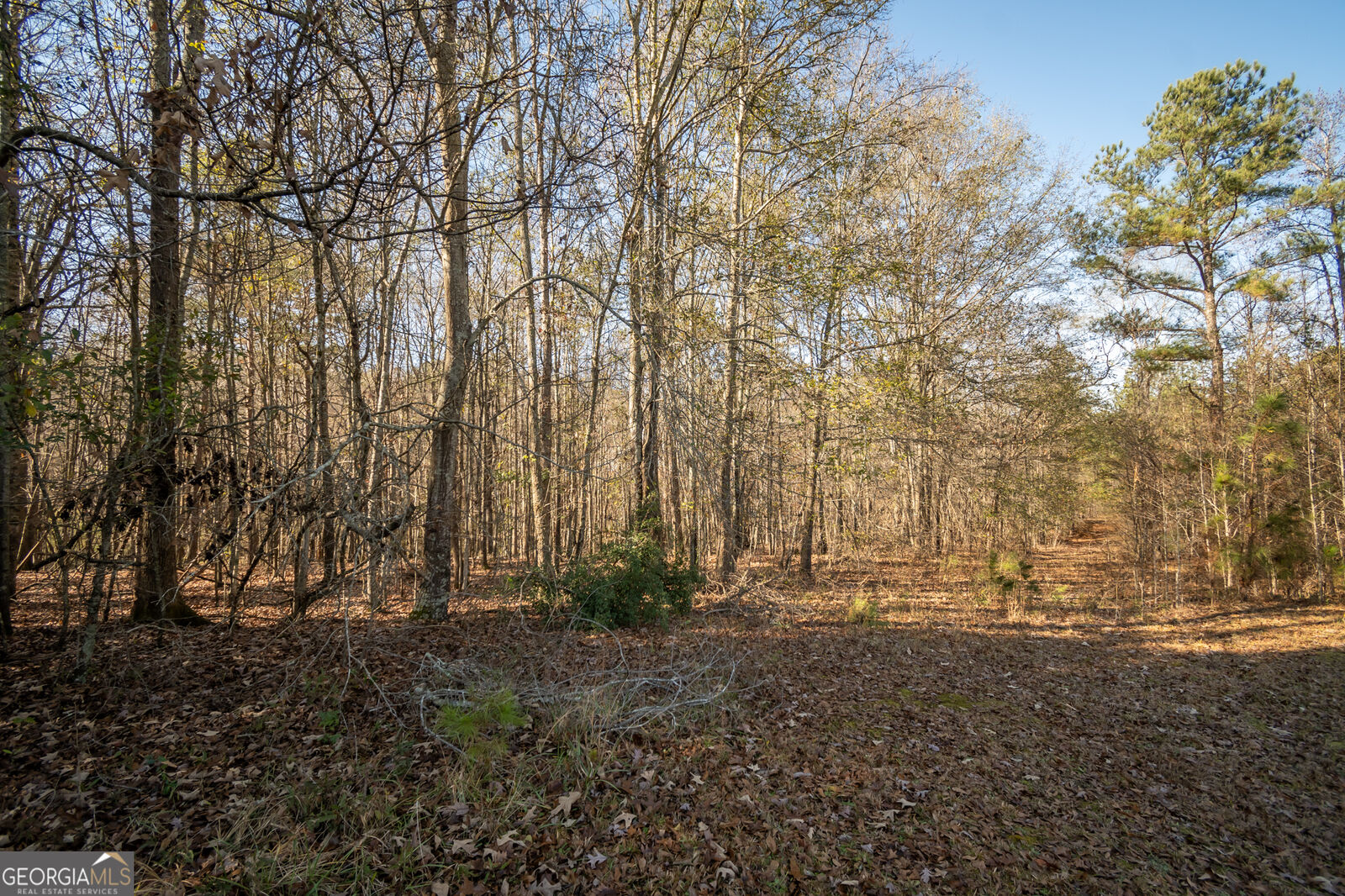 Property Photo:  0 Lavista Road  GA 30549 
