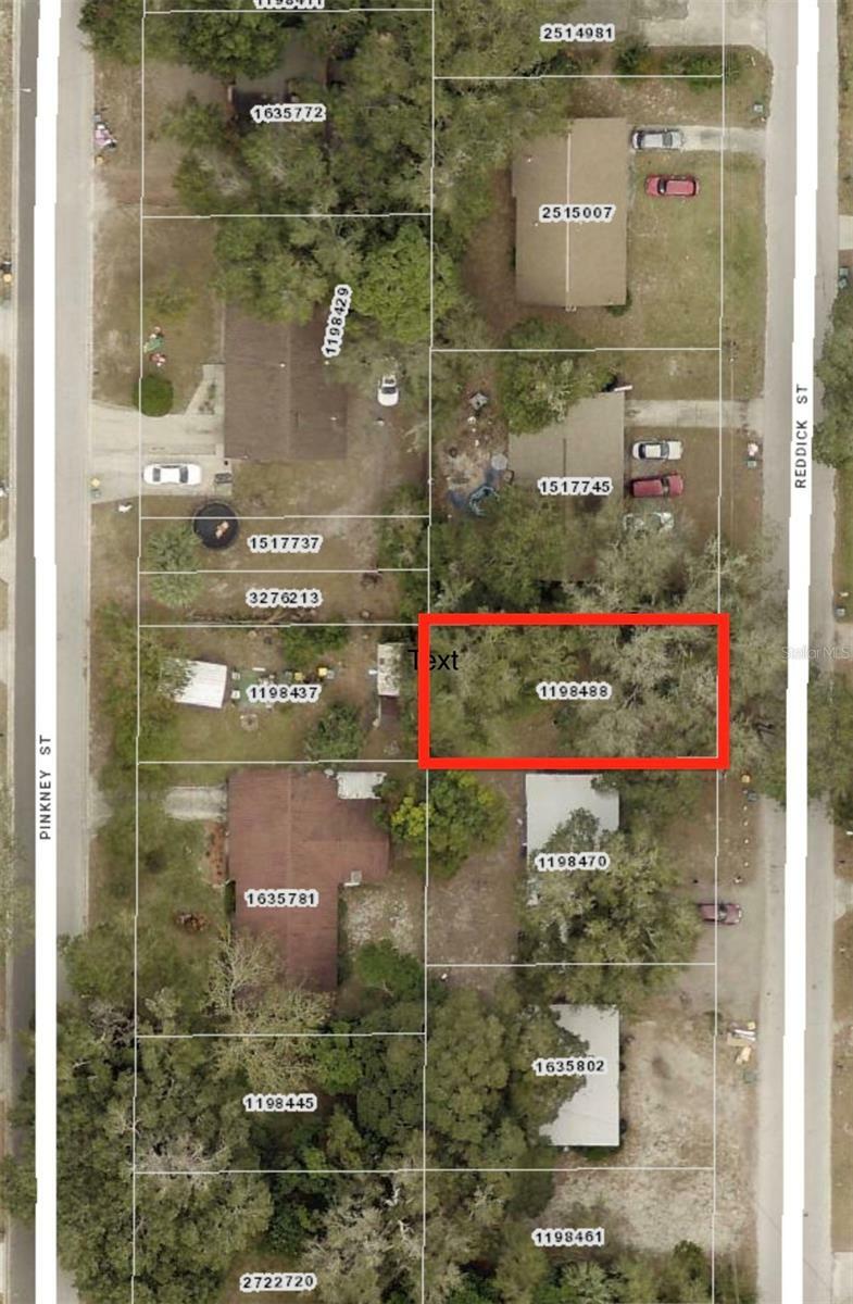 Property Photo:  Reddick Street  FL 32726 