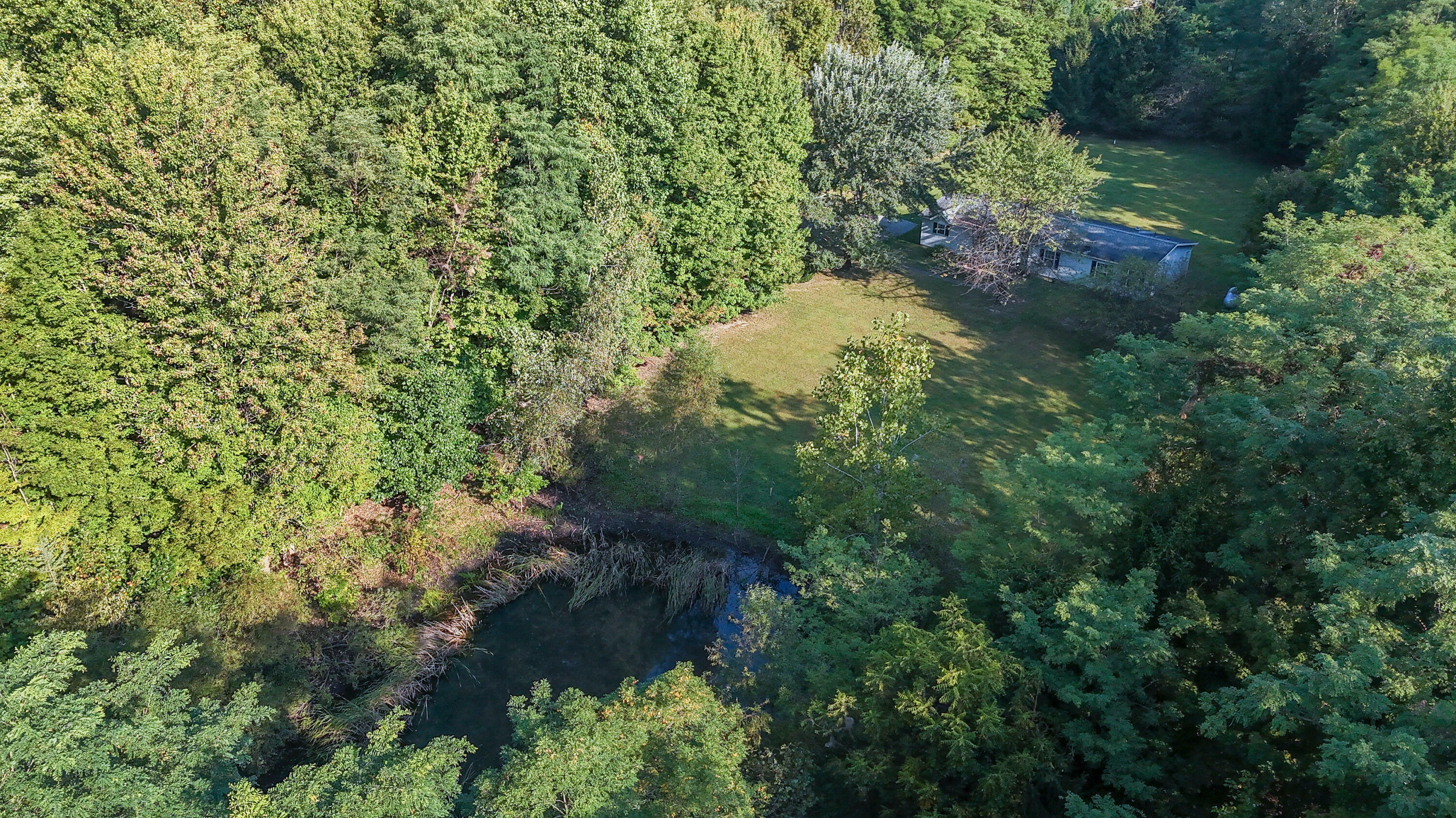 Property Photo:  9225 Maudlin Road  MI 49117 