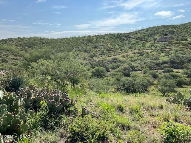 Property Photo:  S Goodenough Trail Lot 9  AZ 85641 