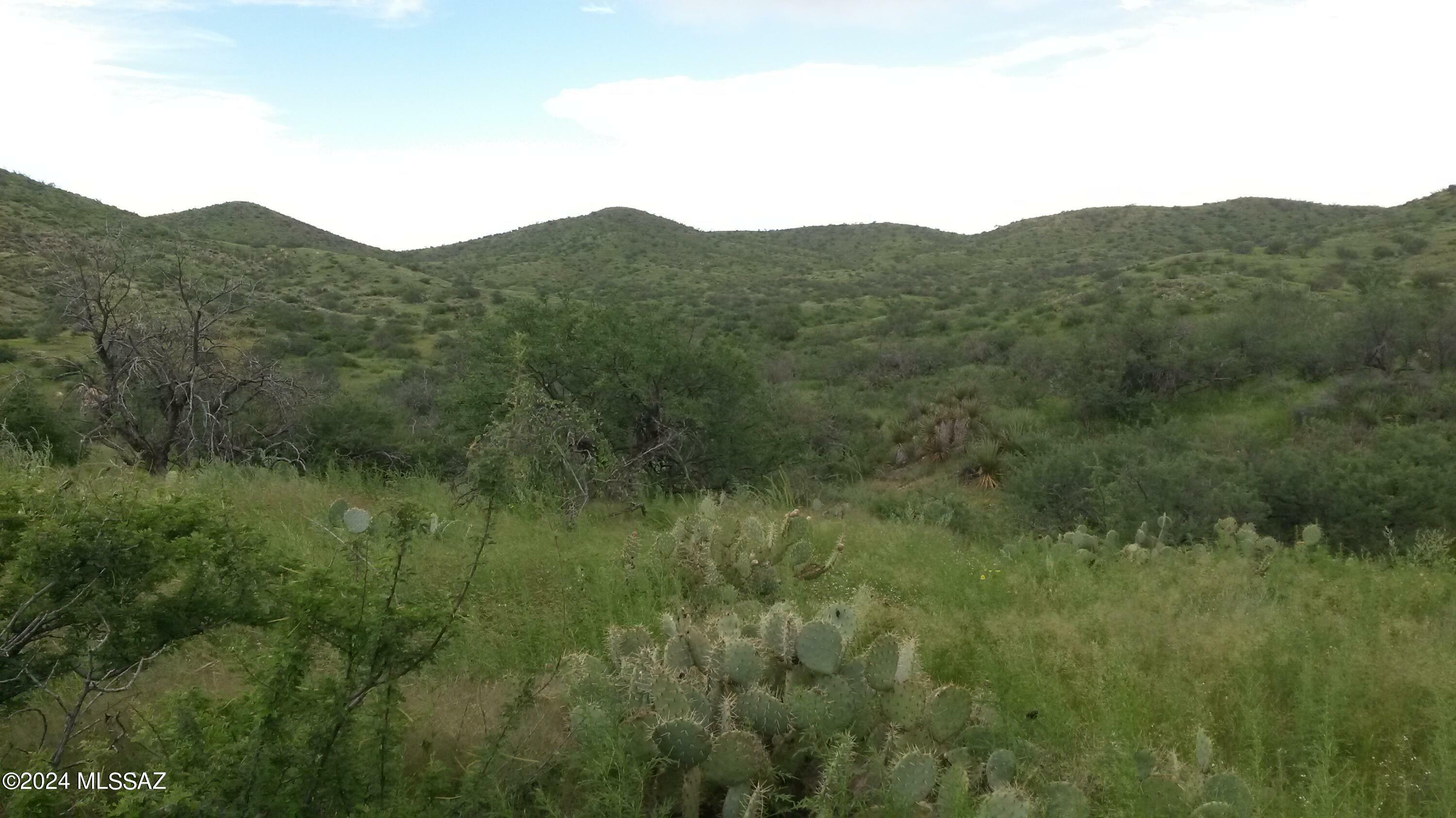 Property Photo:  S Goodenough Trail Lot 2  AZ 85641 