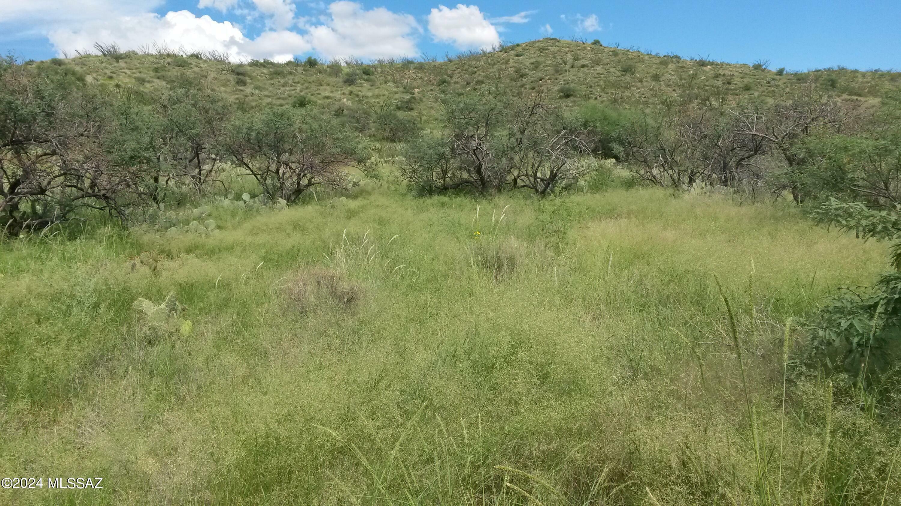 Property Photo:  S Goodenough Trail Lot 1  AZ 85641 