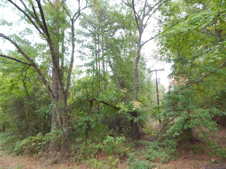 Property Photo:  Tbd 70.78 Red Maple Rd.  TX 75755 