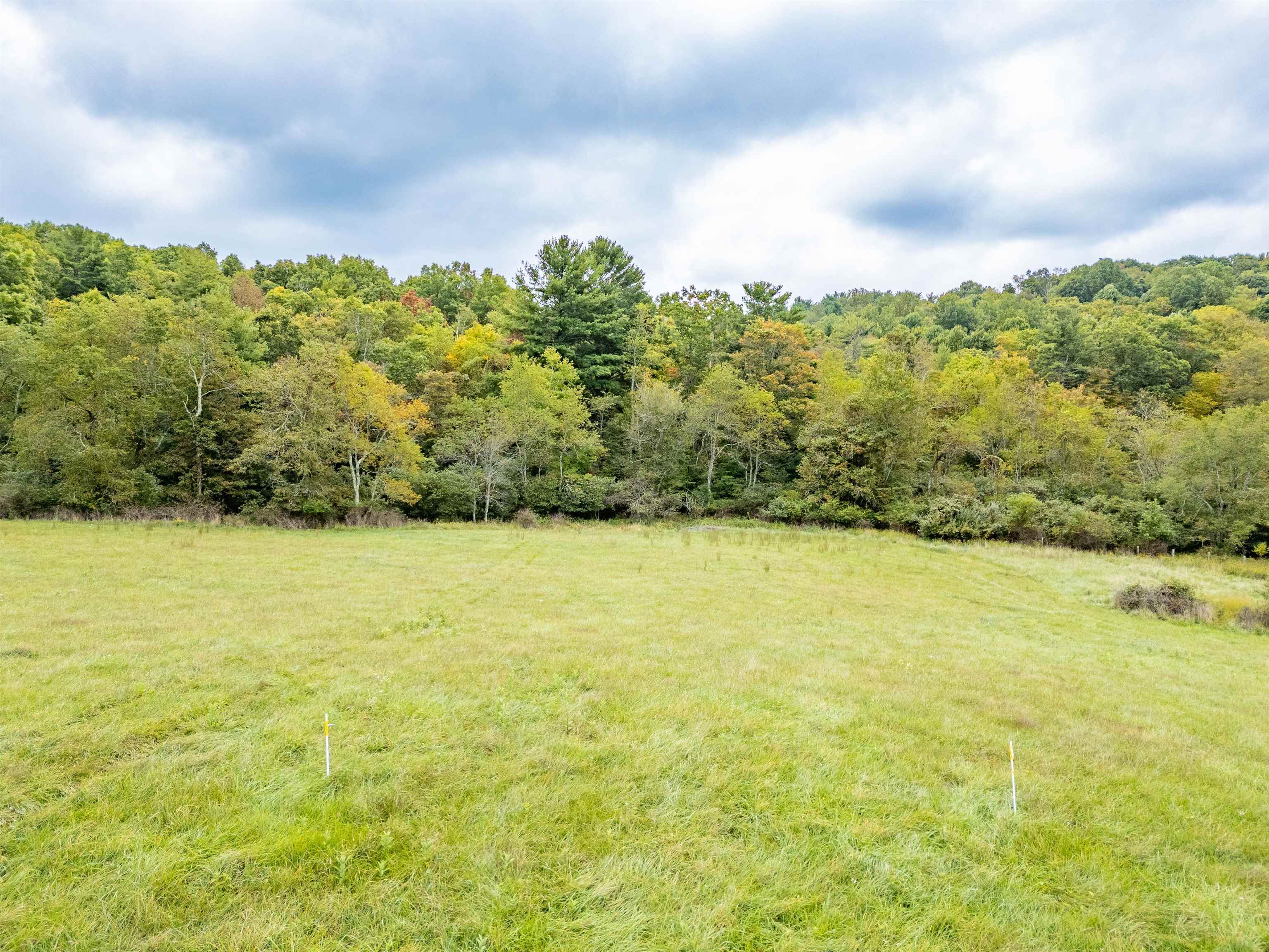 Property Photo:  Lot 3 Twin Ponds Drive  VA 24091 