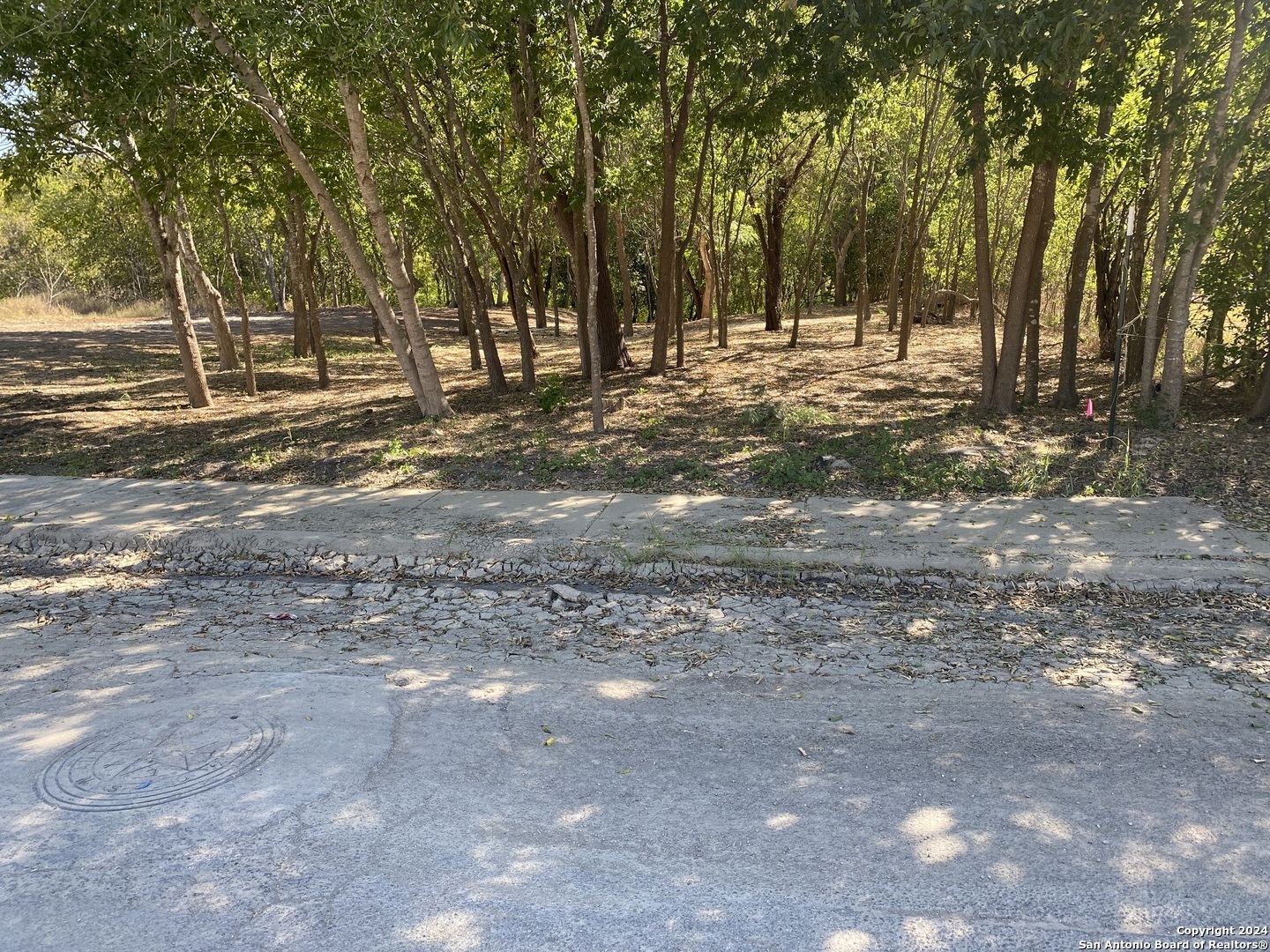 Property Photo:  2518 McNutt  TX 78222 