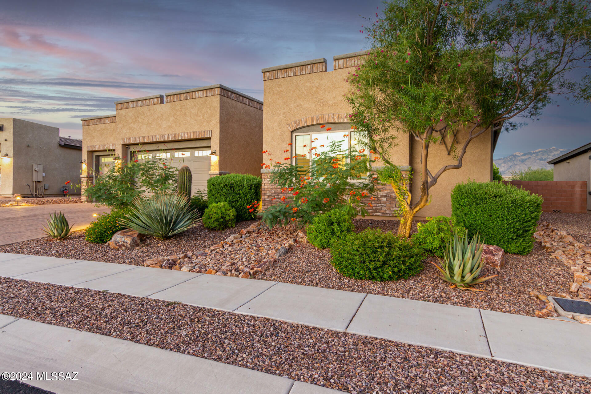 Property Photo:  13270 N Velvetweed Court  AZ 85755 