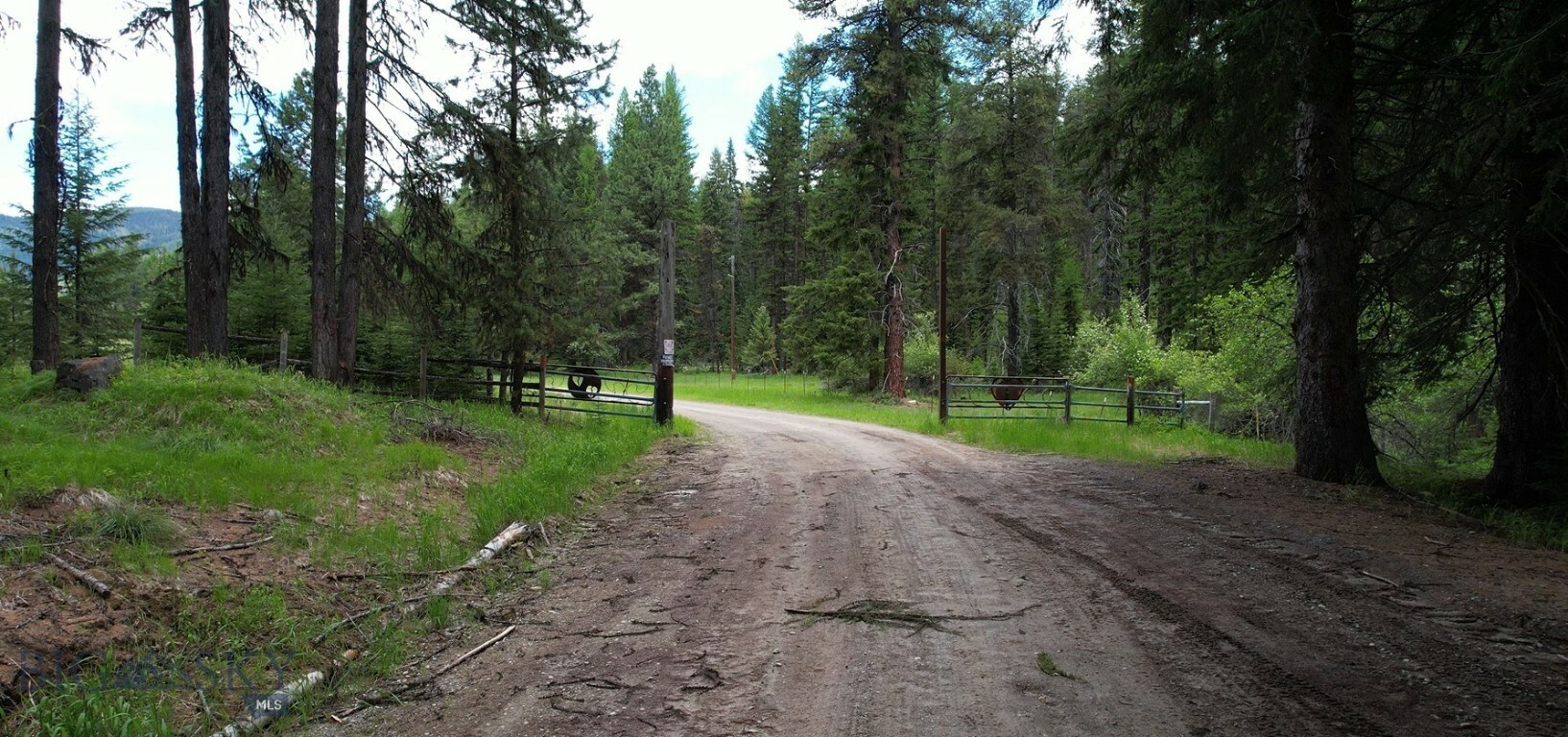 Property Photo:  1876 Timber Creek Road  MT 59866 