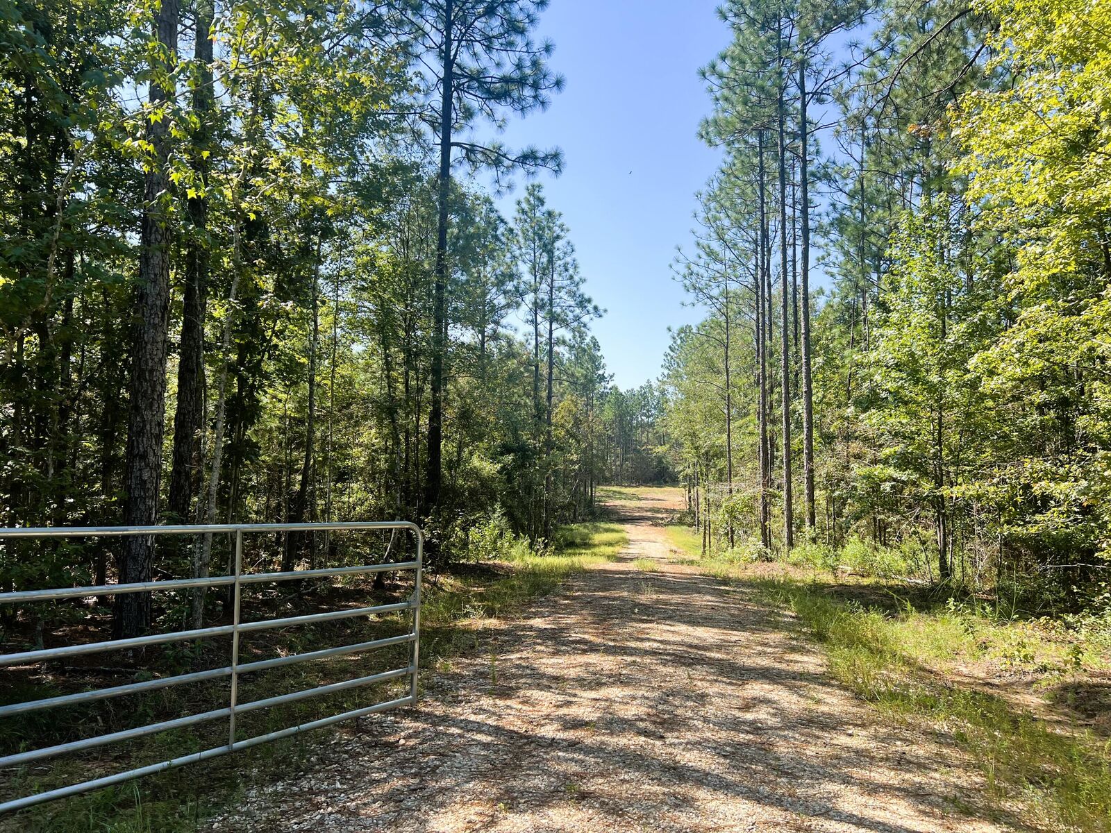 Property Photo: 4065 Highway 13 MS 39455