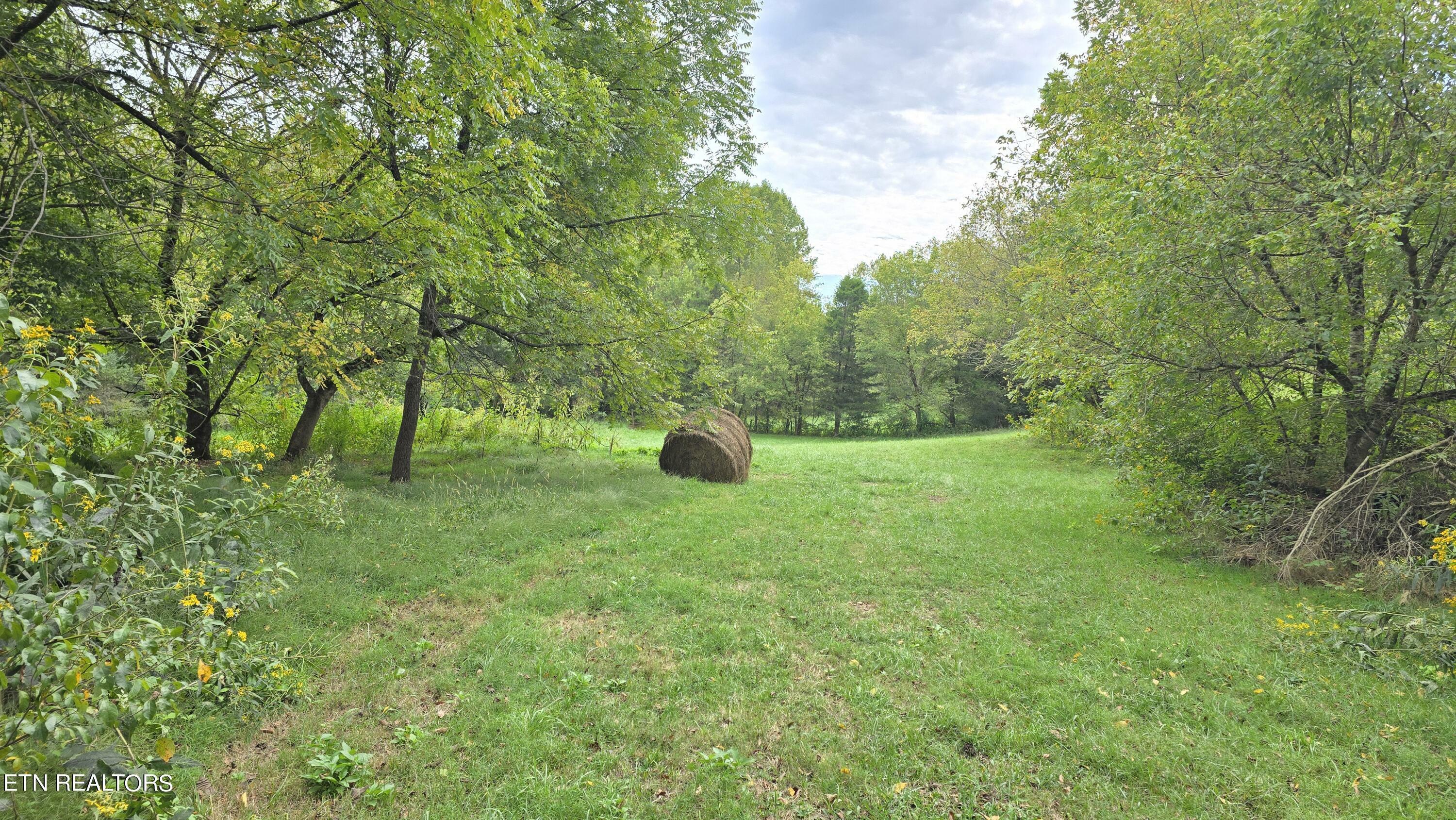 Property Photo:  715 Wheeler Rd  VA 24248 