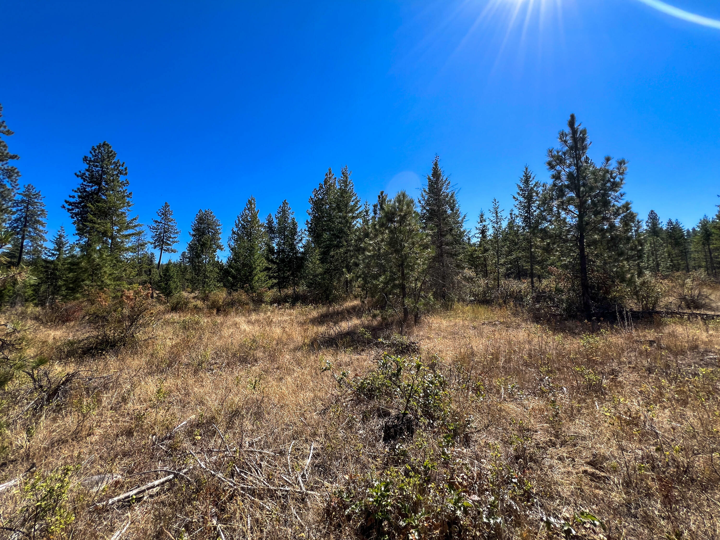 Property Photo:  52xx Lot 3 S Swenson Rd  WA 99006 