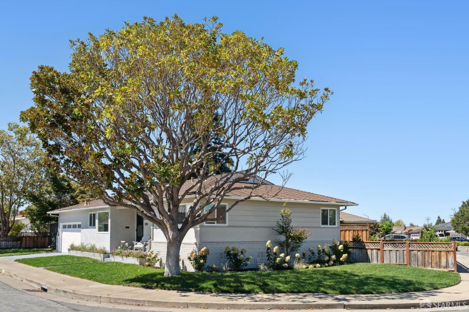 Property Photo:  1059 Fiesta Drive  CA 94403 